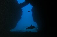 20091014-14.jpg