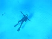 DSCN7837.jpg