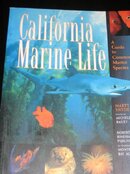 Monterey Bay Aquarium 024.jpg