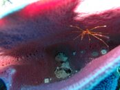 IMG_0167.jpg