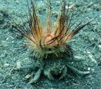 DSC01092-e.jpg