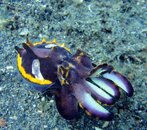 DSC01319-e.jpg