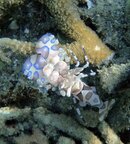 DSC01391-e.jpg