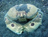 DSC01637-e.jpg