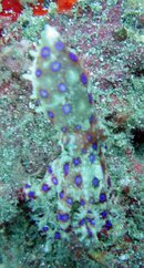 DSC01912-e.jpg