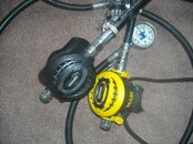 DSCN0770.jpg