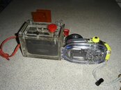 DSC00092 (Large).JPG