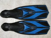 IMG_0913.jpg