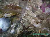 2009-12-17_06_Tube_Snout.jpg