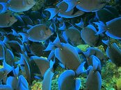 IMG_0683.jpg