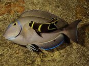 IMG_0721.jpg