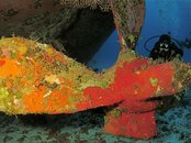 IMG_1008.jpg