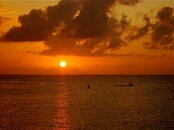 IMG_1586.jpg
