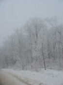 dec 24 snow x.jpg
