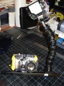 DSC00830.jpg