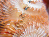 PC313805_edited-1.JPG