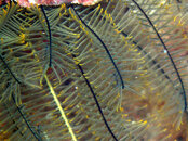 PC313824_edited-1.JPG