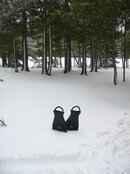 Canadian diving  at its best.jpg