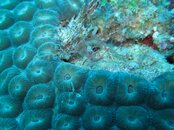 IMG_0075.jpg