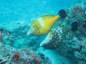 IMG_0081.jpg