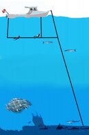 carolina_anchor_rig.jpg