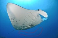 4109885711_c6d0327e50_b.jpg