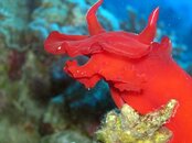 1_102241788.jpg