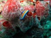 IMG_0154.JPG