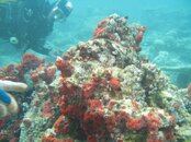 IMG_0164.JPG