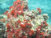 IMG_0165.JPG