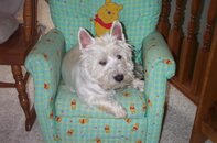Macky in Pooh Chair.jpg