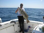fishredsnappa 425 (Medium).jpg