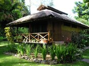 png2009 015.jpg
