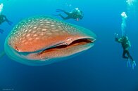 IMG_1587vsm.jpg