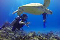 diver-549380_1920.jpg