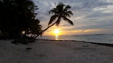 sunset3.jpg