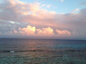 image6.JPG