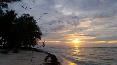 sunset6.jpg