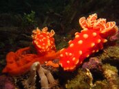 IMG_7069.JPG
