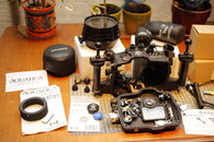 _15C2495.JPG