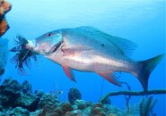 IMG_9088.jpg