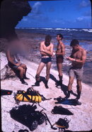 Samo Crowder & Wetzel on Okinawa beach.jpg