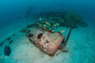 Wrecks with Bob-2-9.jpg