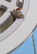 detail experiment.jpg