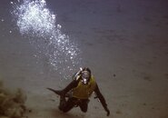 NW Diving History017.jpg