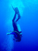 PC210077 2.JPG