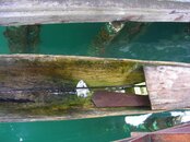 DSCN1292.jpg