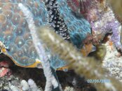 Puerto Rico 2010 030.jpg
