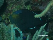 Puerto Rico 2010 047.jpg