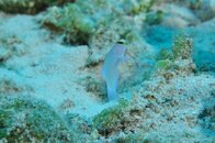 DSC_1956.jpg